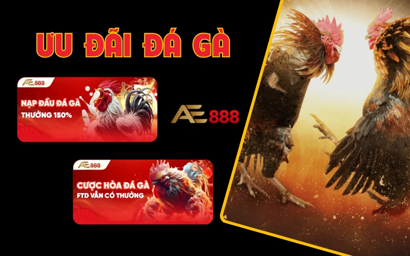 Ưu đãi đá gà AE888