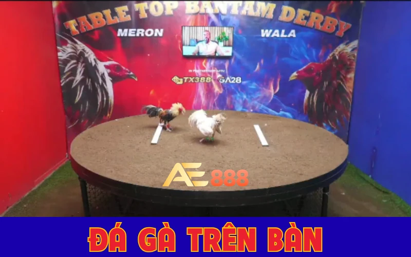 GA28