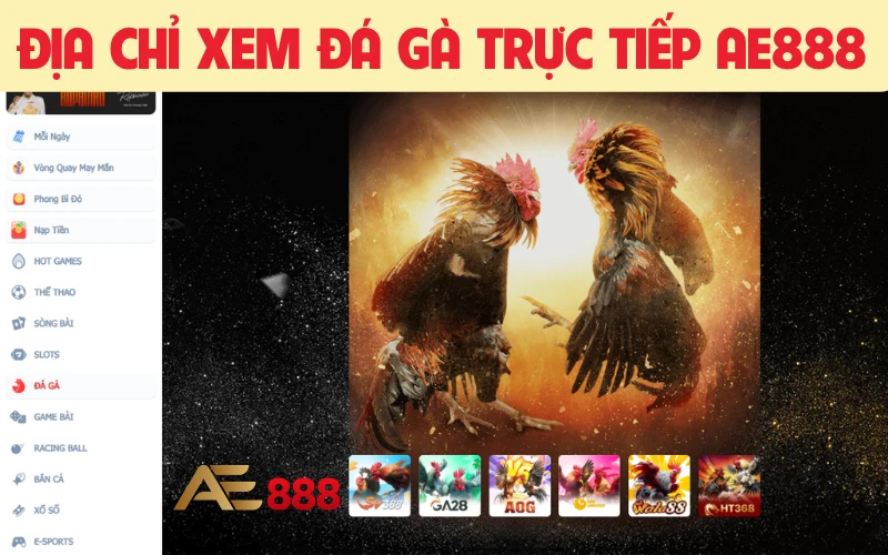 đá gà trực tiếp 88