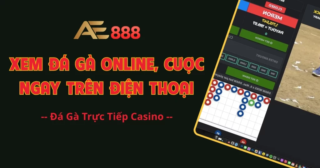 đá gà trực tiếp casino