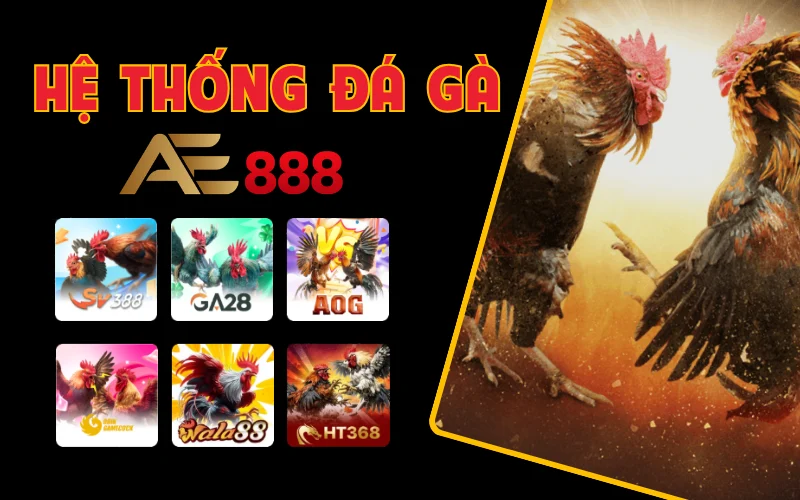 Hệ thống đá gà AE888