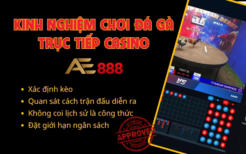 Trải nghiệm đá gà trực tiếp casino