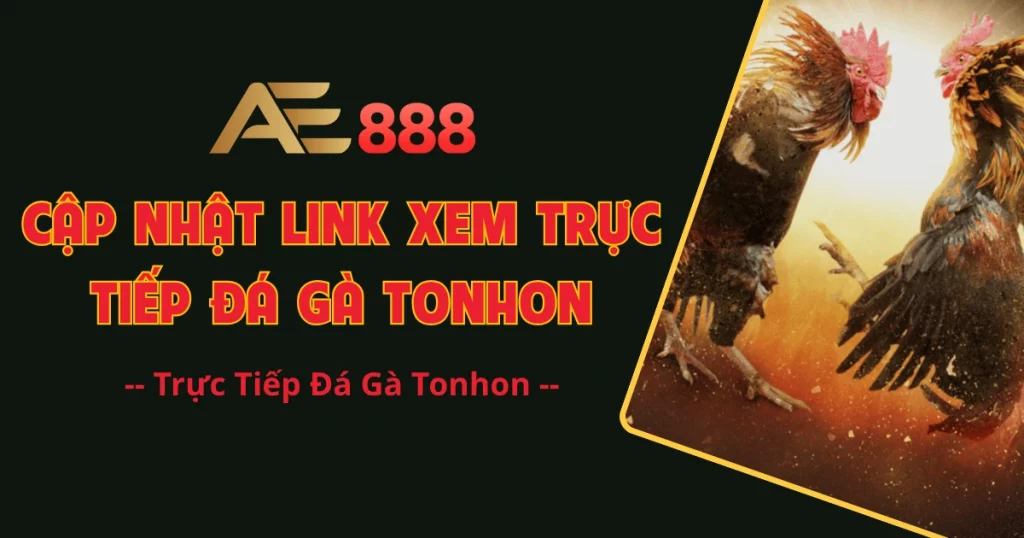 trực tiếp đá gà tonhon