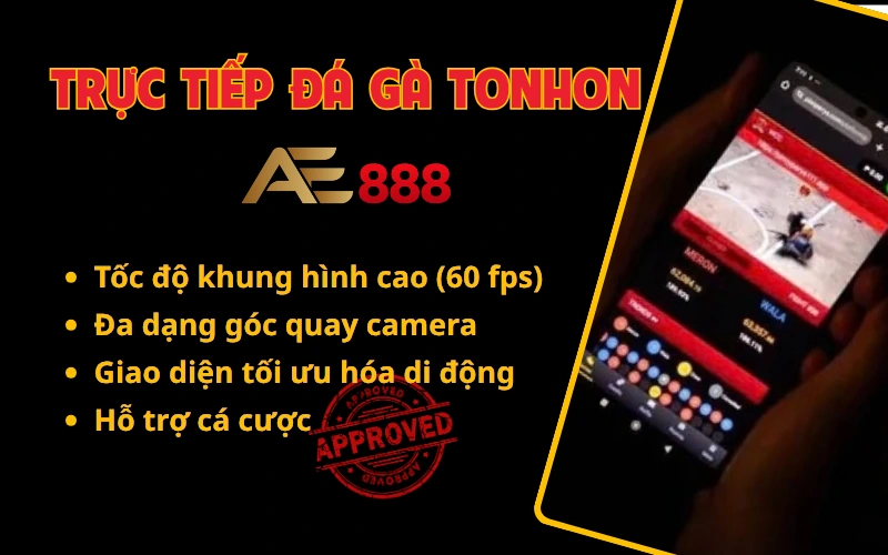 Ưu điểm khi xem trực tiếp đá gà tonhon tại AE888
