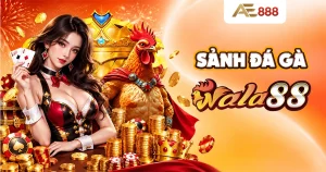 sảnh đá gà wala88