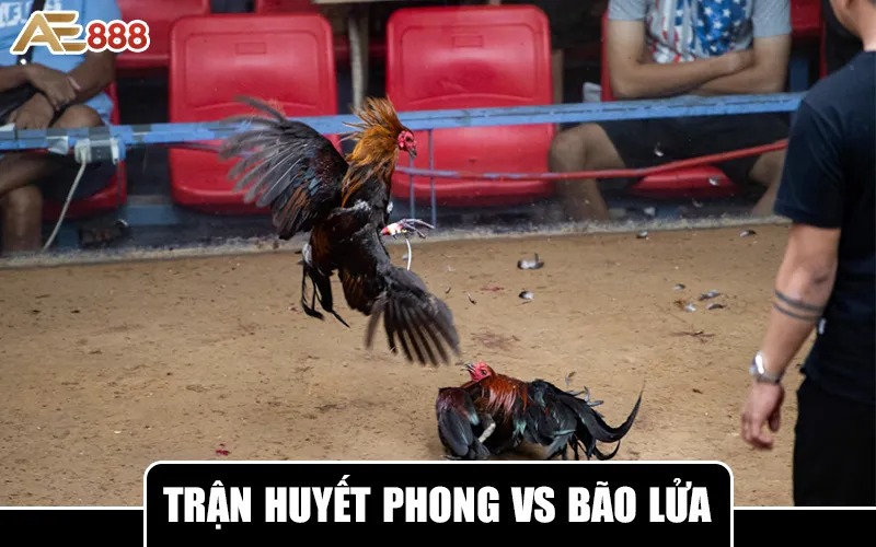 Huyết Phong vs Bão Lửa